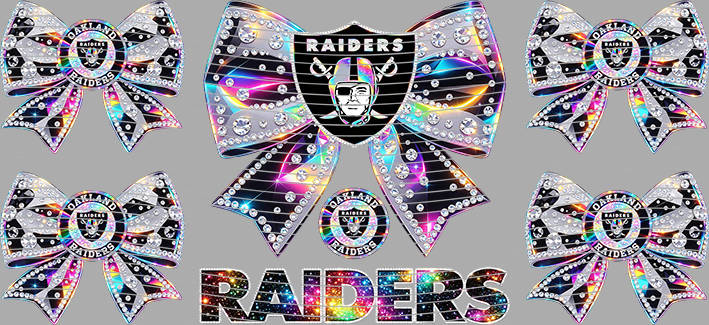 16oz team-NFL 3093